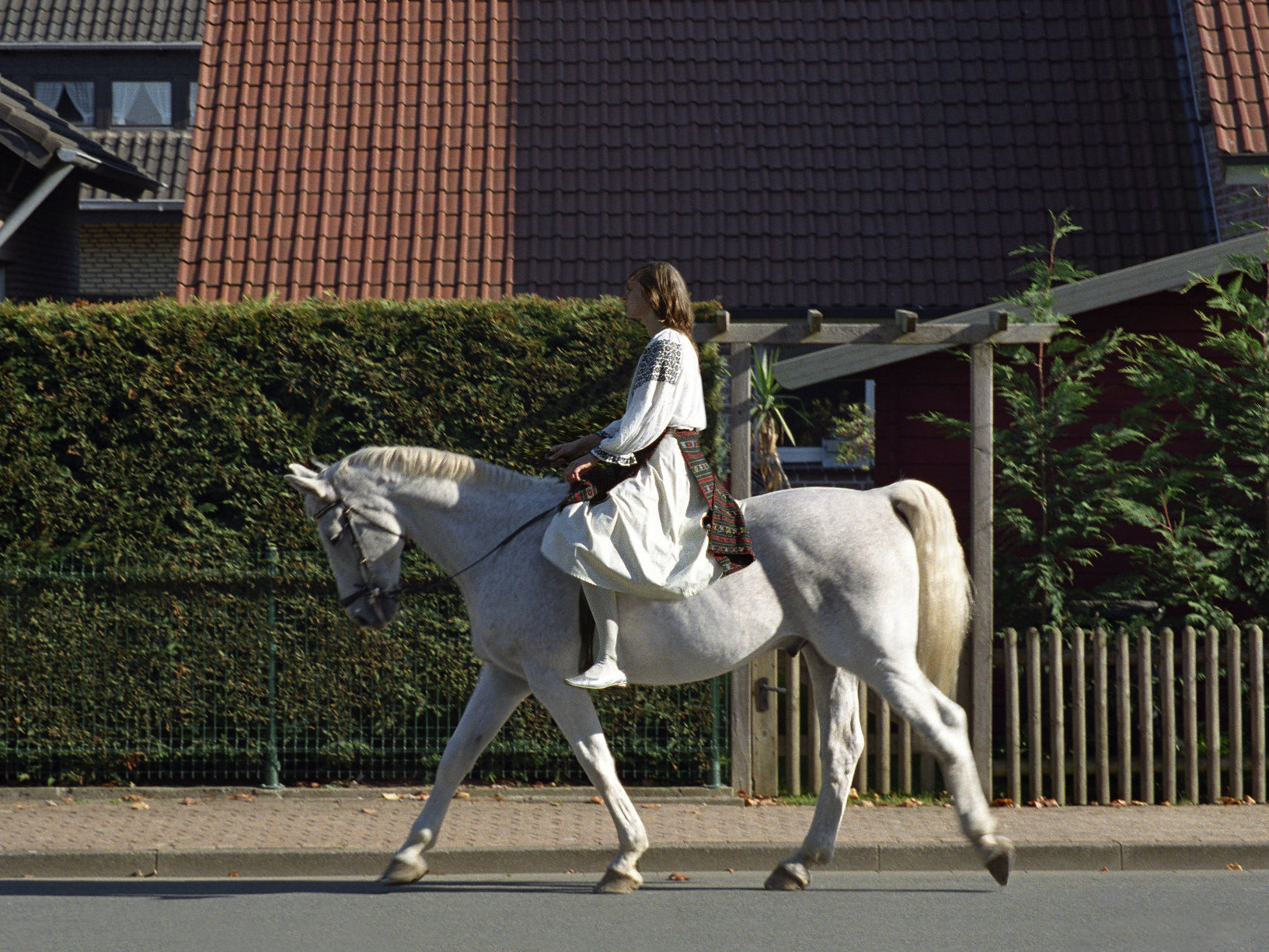 la-blouse, Aurelia-Mihai